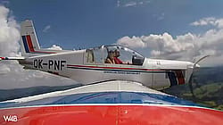 Topless On Airplane'