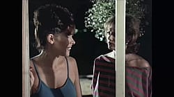 Janey Robbins & Honey Wilder Fuck Tom Byron In Private Teacher 1983'