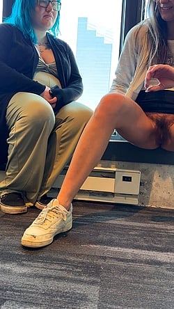 Peeing in the Hallway: An Amateur's Perspective'