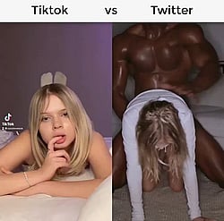 Coco TikTok vs Twitter: A Porny Split Screen Showdown'