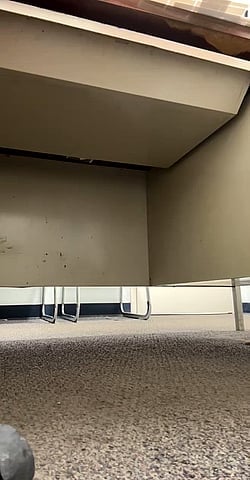 Sneaky Boss Desk Use: A Tiny, Skinny, Exhibitionist's GIF'