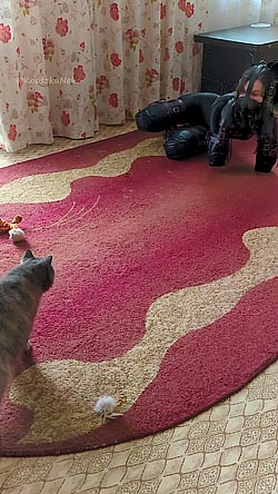 Bitchsuit BDSM: A Cat's Perspective'